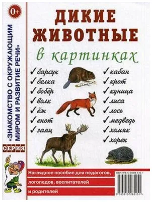 ДИКИЕ ЖИВОТНЫЕ для ДЕТЕЙ ] Развивающие ВИДЕО про животных для детей в  высоком качестве - YouTube