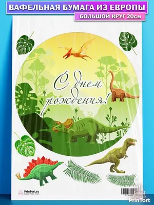 Timeline of Dinosaurs Poster Art Print, Dinosaur Home Decor | eBay