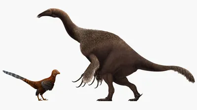 Кто такие динозавры? - Мир динозавров