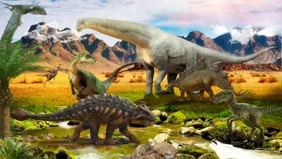 Выставка «Мир Динозавров» в Москве|Организация и проведение детских  праздников