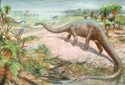 Диплодок – Diplodocus, сейсмозавр, seismosaurus, фото диплодок динозавр,  диплодок картинки диплодоки юрского периода, диплодокус, dinozavri,  динозавры онлайн dinosaurs, бесплатно динозавры хищные, фото динозавры  юрского периода, доисторические ...