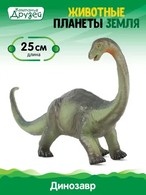 Диплодок / Diplodocus