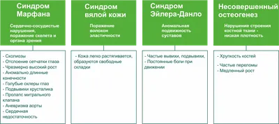 Детская медицинская распорка ООО \"Научно-производственное предприятие \"Орто  Дизайн\" ПИО-08-2 без стремян - «Комплексное лечение при дисплазии ТБС  привело к положительной динамике. Наш опыт. » | отзывы