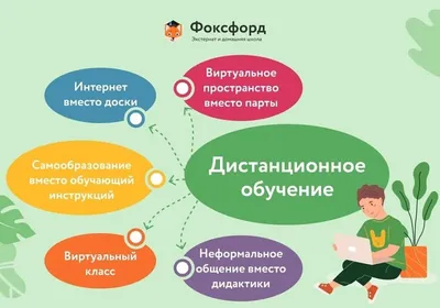 В Москве приостановят дистанционное обучение с 1 по 11 мая — РБК