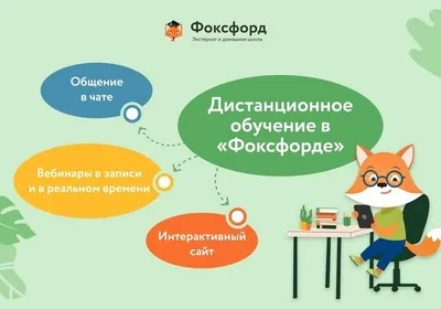 Дистанционное обучение в школе: советы по организации - OsvitaIN