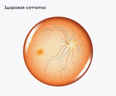 Жить дольше. Истории мальчиков с миодистрофией Дюшенна | Дом Радужного  Детства