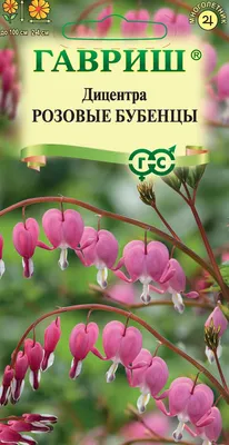 декоративные цветы, дицентра, разбитое сердце, акция, набор - Экзотик Флора