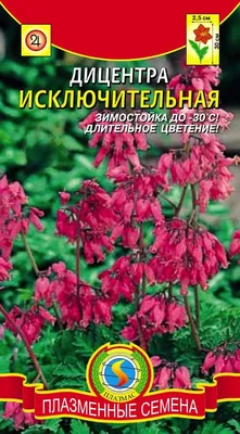 Дицентра великолепная: купить недорого с доставкой — Крокус-ВЛ