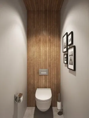 Дизайн туалета фото