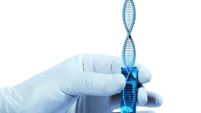 Стандартный образец ДНК человека создан учеными Росстандарта