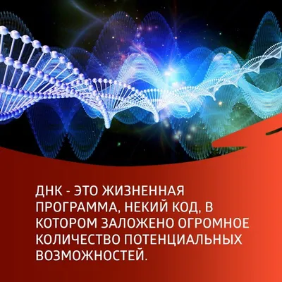 Модель ДНК структурная (id 97886049), купить в Казахстане, цена на Satu.kz