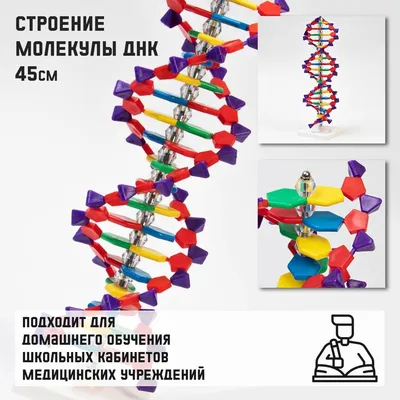 Нужно больше геномов: исследования ДНК становятся массовыми / Лента /  Альпина нон-фикшн