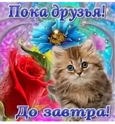 Смех Для Всех - ПОКА-ПОКА... ДО ЗАВТРА ! 🥰🎁🍓🎁🥰 | Facebook