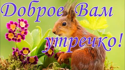 ДОБРОЕ УТРЕЧКО! 🌼 Пусть у вас всё будет зашибись! 😉✌️ #доброеутречко... |  TikTok