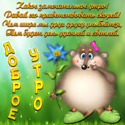 Самое доброе утречко! Плодотворного дня! 🦋🌼🦋 | TikTok