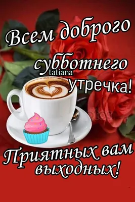 Доброе, да не очень...😣Это я про утро..... | Вечно стройнеющий , философ -  юморист. | Дзен