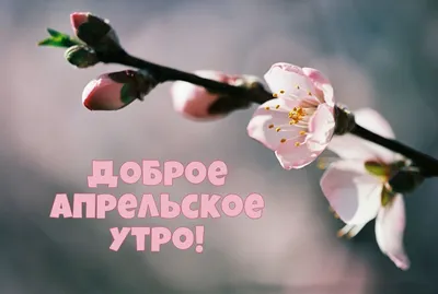 Доброе утро!!! 🌸Настроение отличное! 🍀На улице лето!🌞и я хочу с вами  этим делиться🤗 Друзья, я закрываю все апрельские зак… | Поделки,  Полимерная глина, Полимеры