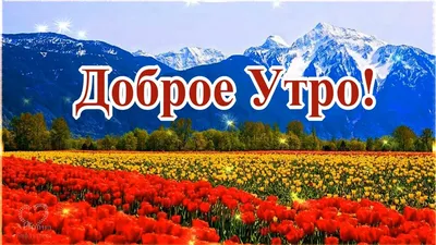 Картинки доброе апрельское утро - страница 5