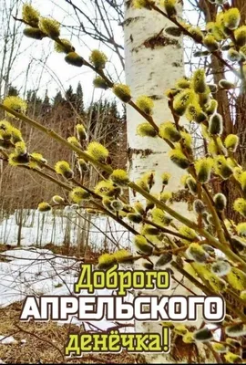 Идеи на тему «Доброе утро» (900+) | доброе утро, открытки, привет сентябрь