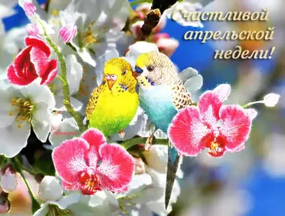 Апрельское 💐💗🌿 Утро доброе! | Идеи для блюд, Доброе утро, Открытки