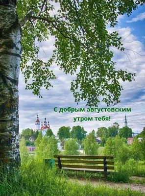 ДОБРОЕ АВГУСТОВСКОЕ УТРО! 🍃🍃🌻🌻🌻🌻🌻🍃🍃 ПУСТЬ ВАШ ДЕНЬ БУДЕТ ОЧЕНЬ-  ОЧЕНЬ ХОРОШИМ! НА ВСЕ.. | ВКонтакте