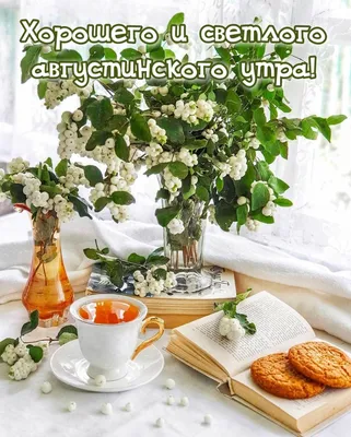 С Добрым Утром!!!#лето#август#утро | TikTok