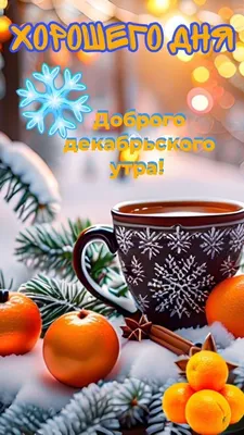 ДОБРОЕ ДЕКАБРЬСКОЕ УТРО #С НАЧАЛОМ ЗИМЫ #❄️🌲❄️🌲❄️🌲# | TikTok