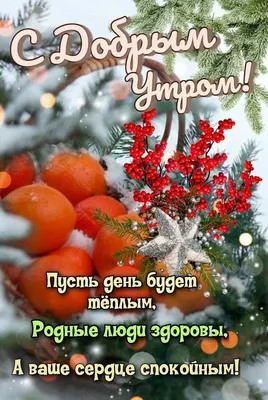 Доброе утро! Чудесного дня! Отправляемся в счастливое декабрьское утро,  обязательно возьмите с собой удачу, везение и хорошее настроение… |  Instagram