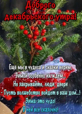 Пин от пользователя Сергей на доске Доброе утро | Детские елочные игрушки,  Счастливые картинки, Доброе утро