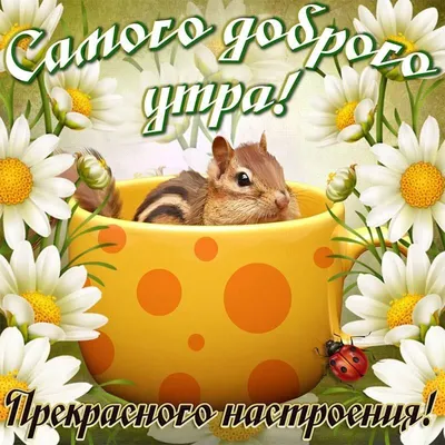 Летнее 💐🌺🌿 Утро доброе! | Христианские картинки, Счастливые картинки, Доброе  утро