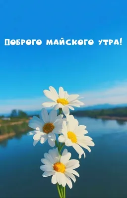 Мудрая бабулечка | Facebook