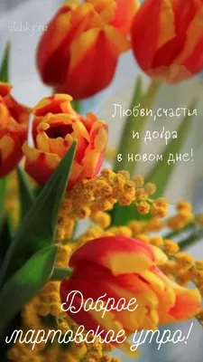 Доброе мартовское утро😉🌷🌷🌷! #доброеутро#мартовскийкот#... | TikTok