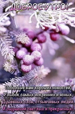 Доброе зимнее утро #утро #зима #позитив #топ #лучшее | TikTok