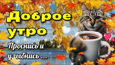 С Добрым Ноябрьским Утром ! С Добрым Утром и Хорошим днем . Открытка с добрым  утром - YouTube