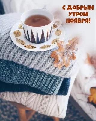 сдобрымутром #ноябрьскоеутро #доброеутро #открытка | TikTok