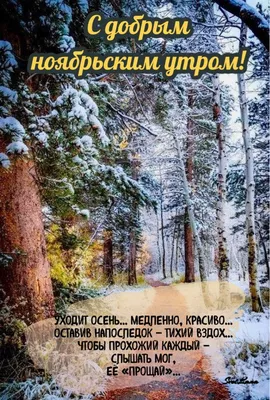 С самым добрым ноябрьским утром! С настроением только на \"пять\", С очень  нужным душевным уютом .. | ВКонтакте