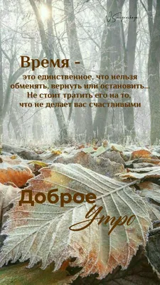 Красивая открытка «С добрым осенним утром и хорошим днём» • Аудио от  Путина, голосовые, музыкальные