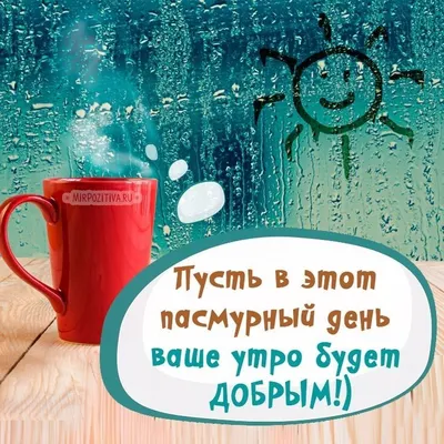 Пин от пользователя Сергей Е на доске Юмор картинки | Открытки, Доброе утро,  Счастливые картинки