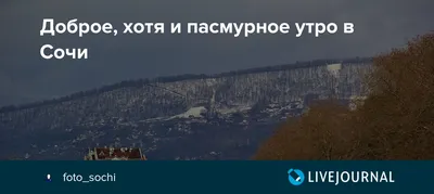 Доброе утро. Сегодня несмотря на облачное утро и пасмурный день, вечер в  Херсоне обещает быть ясным. Без осадков. Температура от +19 ночью до +33  днём - Лента новостей Херсона