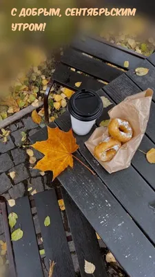 ✨ Магия ✨ Доброе, сентябрьское утро…» — создано в Шедевруме