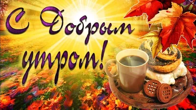 ☀ Доброе утро, друзья! 🎁 Пусть новый день подарит много энергии и  позитива! #утро #Чечерский_вестник.. | ВКонтакте