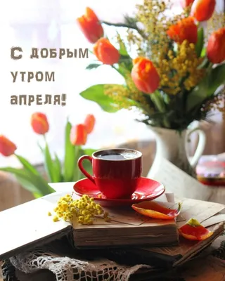 Какой сегодня праздник, курс доллара и погода в Днепре 1 апреля 2020 -  Днепр Vgorode.ua