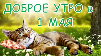 1 мая, Доброе утро, пятница ! С праздником!.Открытка с добрым утром,Первомай.  - YouTube