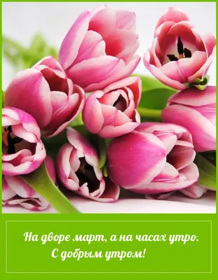 Открытка с именем доброе утро С 8 МАРТА картинки. Открытки на каждый день с  именами и пожеланиями.