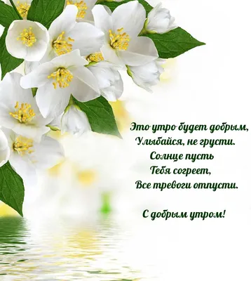 Торговая сеть \"РАДУГА\".Все для дома и дачи - УРРРААА!!!!)))  ВЕСНАаааааа!!!)))💐💐💐 Доброе утро, дорогие друзья!)😂😂😂 С 1МАРТА ВАС  всех !) Чуете, уже пахнет весной!))))) 😜😁🤗 #1марта #весна #радугакурск |  Facebook