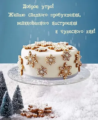 Доброе утро! Сегодня 31 декабря наш магазин работает до 17:00 График работы  в праздничные дни: 31 декабря до 17:00 1-2 января выходной С 3… | Instagram