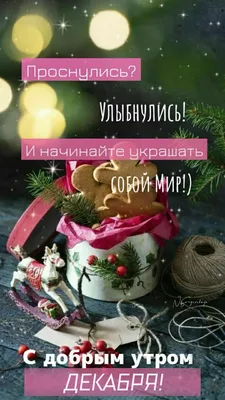 Доброе утро, друзья! Я знаю Вы этого ждали🤗 Представляю Вам полный список  моих выступлений по тв, в новогодние праздники🎄 31 декабря:… | Instagram