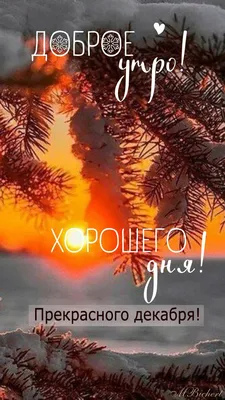 Доброе утро!💗 31 декабря 2023 года, …» — создано в Шедевруме