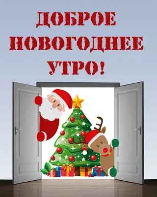 Самое доброе утро 31 декабря 🎅🏽🎄 | Instagram