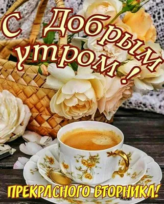 Картинки на тему #утро_доброе - в Шедевруме